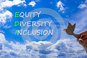EDI equity diversity inclusion symbol. Concept words EDI equity diversity inclusion on blue sky clouds background. Wooden bird.