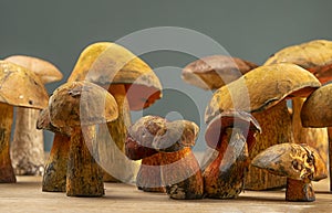 Edible and appetizing wild boletus mushrooms and Suillellus luridus on the table