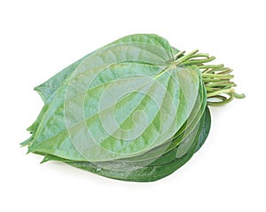 Edible betel leaf isolated