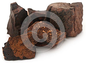 Edible black catechu