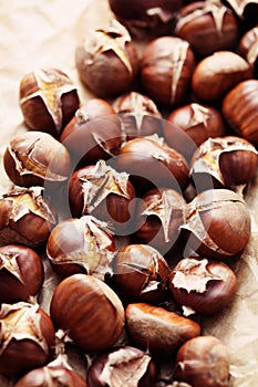 Edible chestnuts