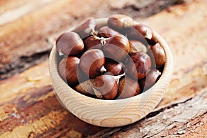 Edible chestnuts