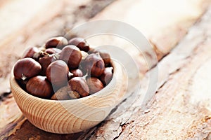 Edible chestnuts