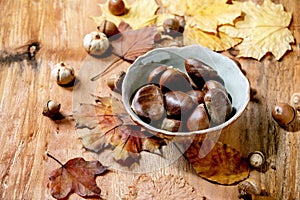 Edible chestnuts and autumn leaves