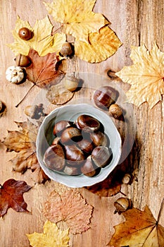 Edible chestnuts and autumn leaves