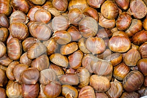 Edible chestnuts background