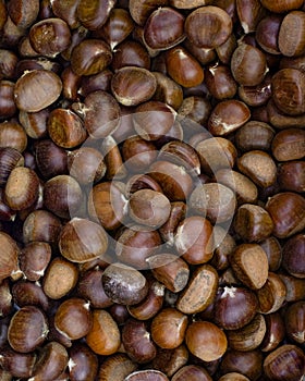 Edible chestnuts, brown walnut background backdrop. Raw castanea chestnut fruit in a supermarket