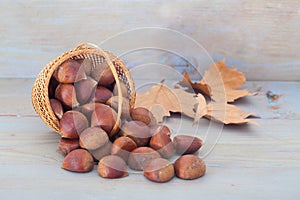 Edible chestnuts in wicker basket on blue, wooden table