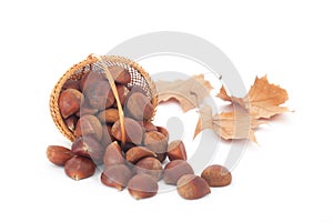 Edible chestnuts in wicker basket on white background