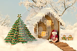 Edible Christmas gingerbread house and baby