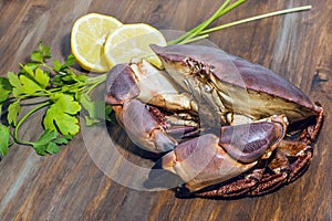 Edible Crab. Brown Crab. Buey de mar. Delicious seafood from Galician coast photo