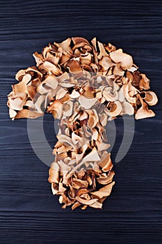 Edible dried mushrooms in shape of mushroom silhouette black wooden background closeup top view, dry boletus edulis on dark wood