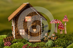 Edible fairy house and toadstools