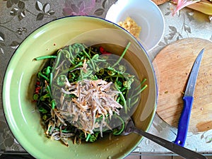 edible ferns; salad in the making on the table