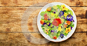 Edible flower salad in the plate,space for text