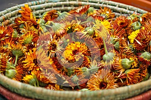 Edible Flowers