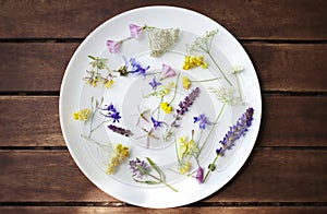 Edible Flowers