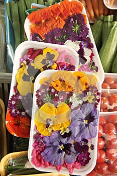 Edible Flowers