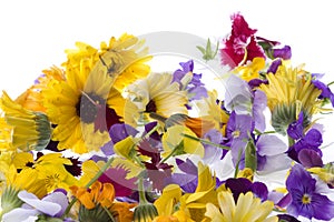 Edible Flowers Isolated