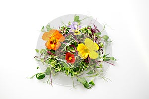 Edible flowers and microgreens mix isolated: pea shoots, broccoli, orach, nasturtium, begonia, viola