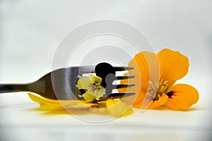 Edible flowers and petals on white background