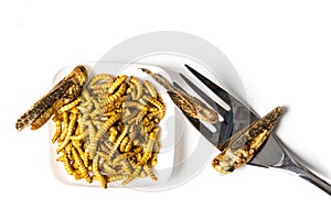 Edible fried insects suitable as food snack with fork white background