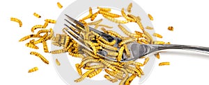 Edible fried insects suitable as food snack with fork white background