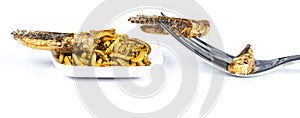 Edible fried insects suitable as food snack with fork white background