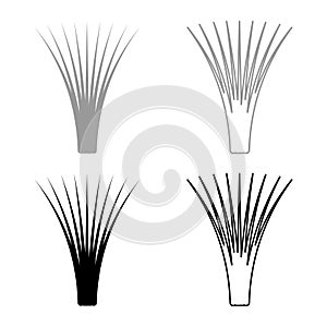 Edible grass lemongrass Cymbopogon citratus spices vegetable herbal plant set icon grey black color vector illustration image