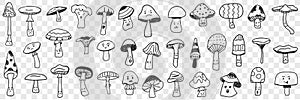 Edible and inedible mushroom doodle set