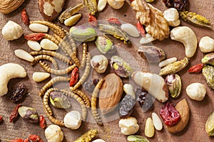 Edible insects and nuts