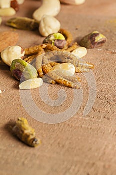 Edible insects and nuts