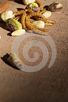 Edible insects and nuts