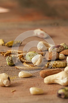 Edible insects and nuts