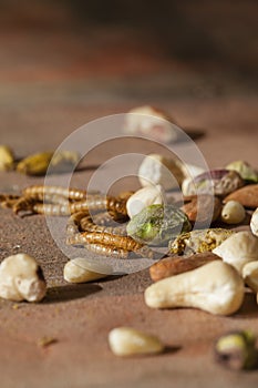 Edible insects and nuts