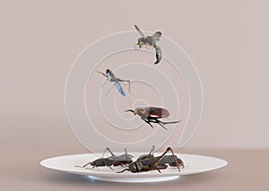 Edible insects on a plate. Crickets as snack, good source of protein. Entomophagy, insectivory concept. Fried insects photo