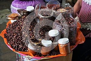 Edible insects processed for consumption on the market in Oaxaca, Mexico