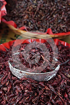 Edible insects processed for consumption on the market in Oaxaca, Mexico