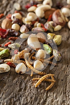 Edible mealworms and nuts