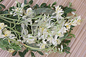 Edible moringa flower