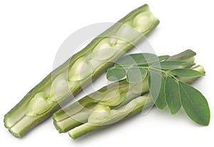 Edible moringa with fresh leaves