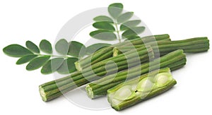 Edible moringa with fresh leaves