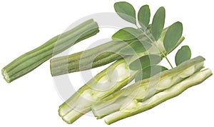 Edible moringa with fresh leaves