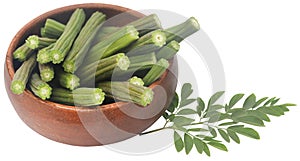 Edible moringa with fresh leaves