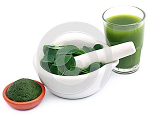 Edible moringa leaves with extract and ground paste