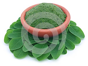 Edible moringa leaves with mashed ones in a pottery