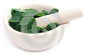 Edible moringa leaves in a mortar with pestle