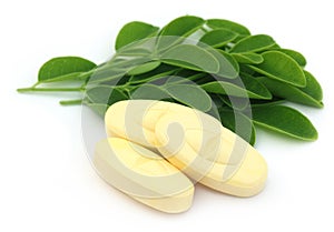 Edible moringa leaves with pills