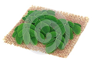 Edible moringa leaves on sack surface