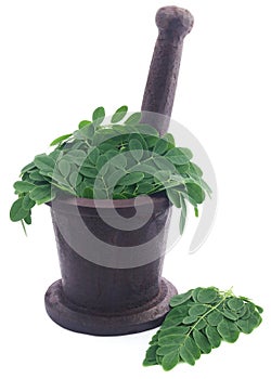 Edible moringa leaves in a vintage mortar